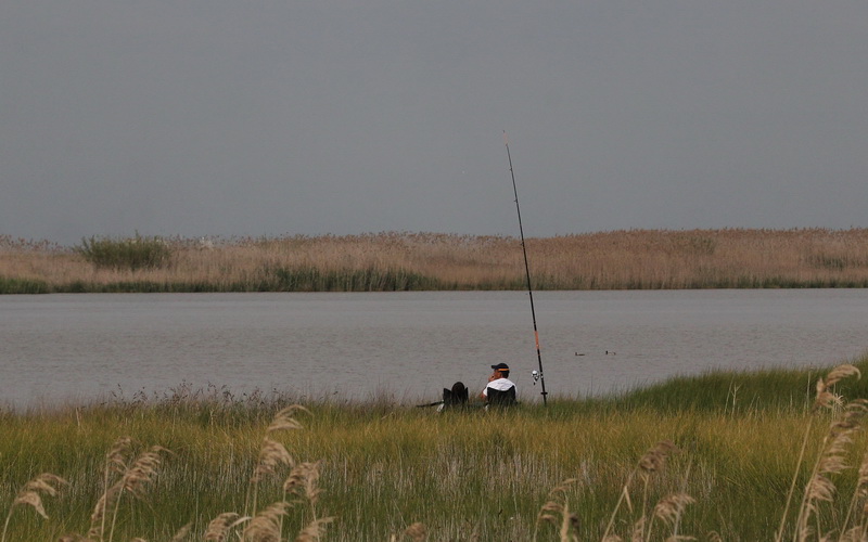 Marismas Del Guadalquivir